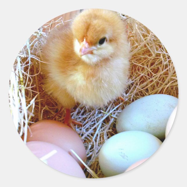 Matching Easter Sticker (Front)