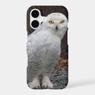 Matching Slippers iPhone 11 Case