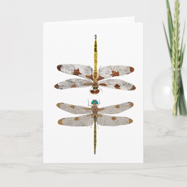 Mated Pair of Prince Baskettail Dragonflies Card (Front)