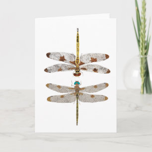 Mated Pair of Prince Baskettail Dragonflies Card