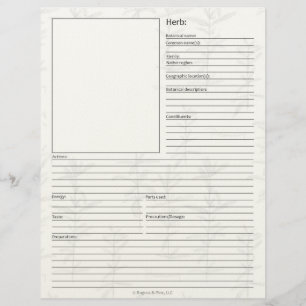 Materia Medica Plant Herbal Study Page Blank Custom Letterhead