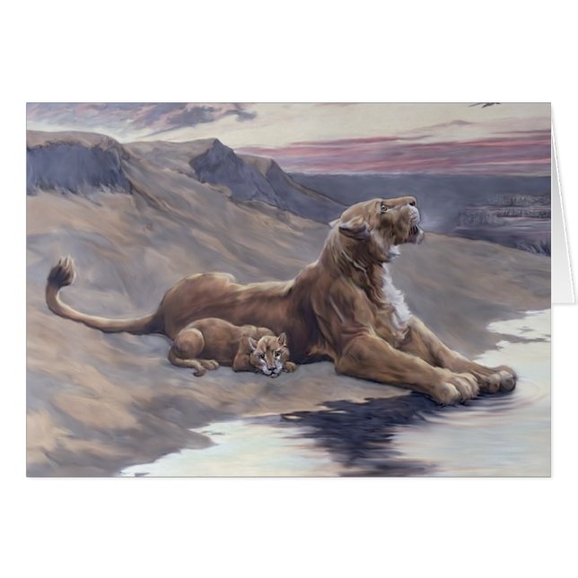 Maternal Care (Front Horizontal)