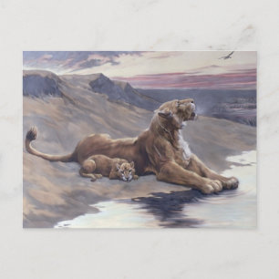 Maternal Care Postcard