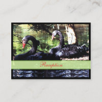 Mates for Life Black Swans Enclosure Card