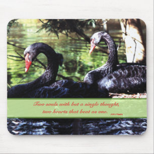 Mates for Life Black Swans with Love Quote Mouse Pad