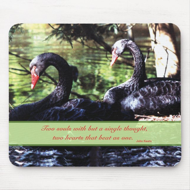 Mates for Life Black Swans with Love Quote Mouse Pad (Front)