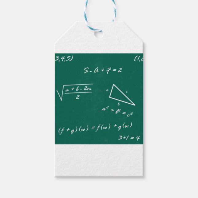 math teacher algebra geek gift tags (Front)