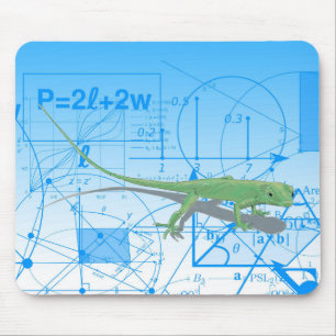 Mathematical equations and geometric designs mouse pad