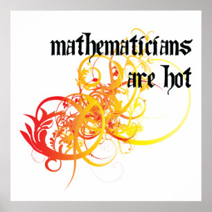 Mathematicians Are Hot Poster
