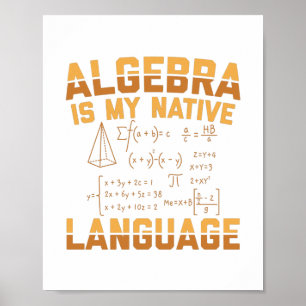 Mathematics Algebra   Mathematician Teacher Gifts Poster