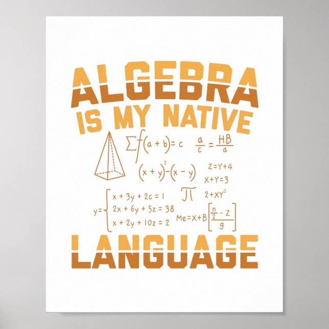 Mathematics Algebra | Mathematician Teacher Gifts Poster (Front)