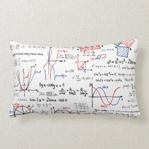 Mathematics Cheat Sheet Pillow