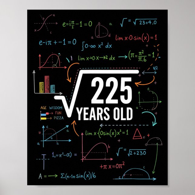 Mathematics Square Root 225 Years Old, Funny Math  Poster (Front)