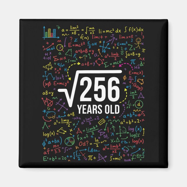 Mathematics Square Root 256 Years Old, Funny Math  Magnet (Front)