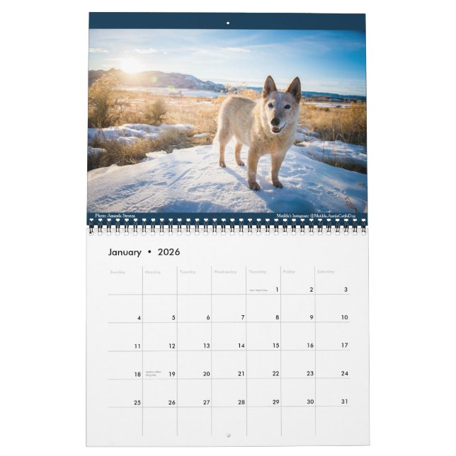 Matilda, Love, and Light 2021 Calendar (Jan 2026)