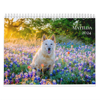 Matilda's 2024 Calendar