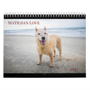 Matilda's Love 2022 Calendar