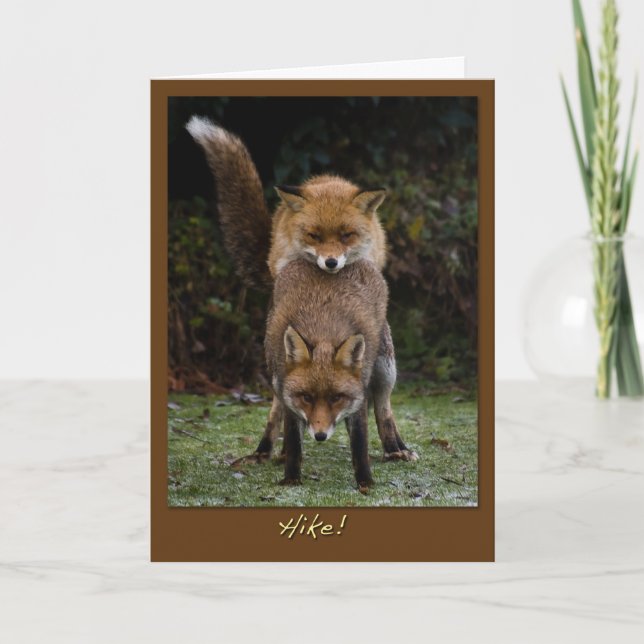 Mating Foxes Card (Front)