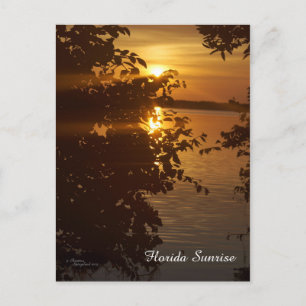 Matlacha Florida Sunrise Postcard