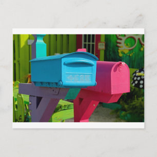 Matlacha Mail Postcard