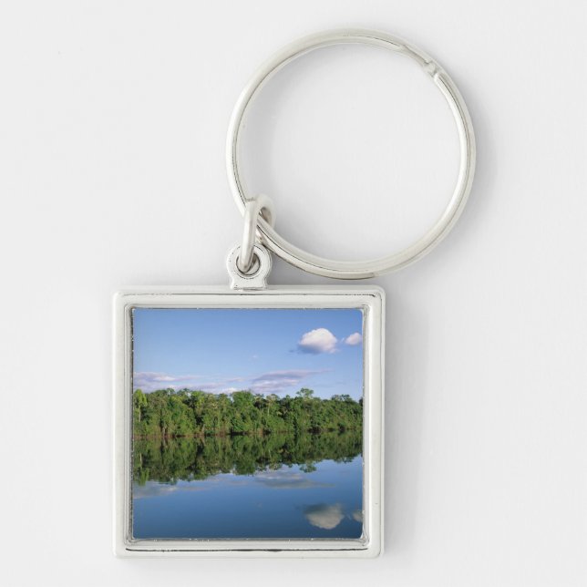 Mato Grosso State, Amazon, Brazil. Forested Key Ring (Front)
