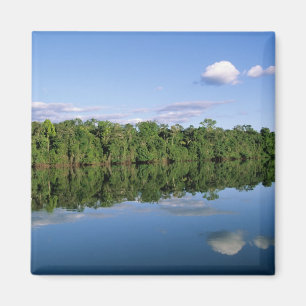 Mato Grosso State, Amazon, Brazil. Forested Magnet