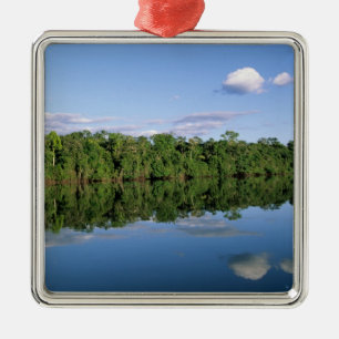Mato Grosso State, Amazon, Brazil. Forested Metal Ornament