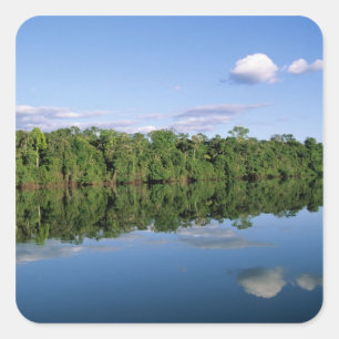 Mato Grosso State, Amazon, Brazil. Forested Square Sticker