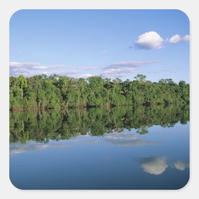 Mato Grosso State, Amazon, Brazil. Forested Square Sticker (Front)