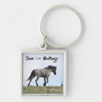 Mato Ska's Determination (Save Our Mustangs) -