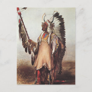 Mato-Tope, A Mandan Chief Portrait by Karl Bodmer Postcard