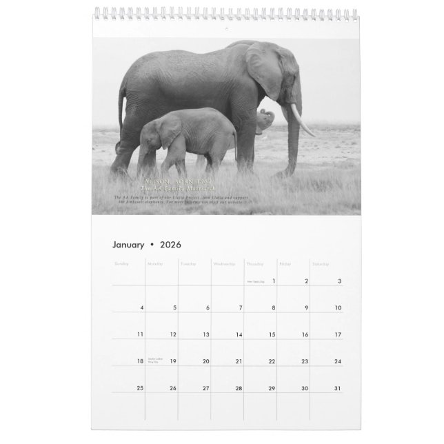 Matriarchs Calendar 2015 (Jan 2026)