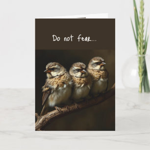 Matt 10:31 Comforting Uplifting Bible Verse Birds Card