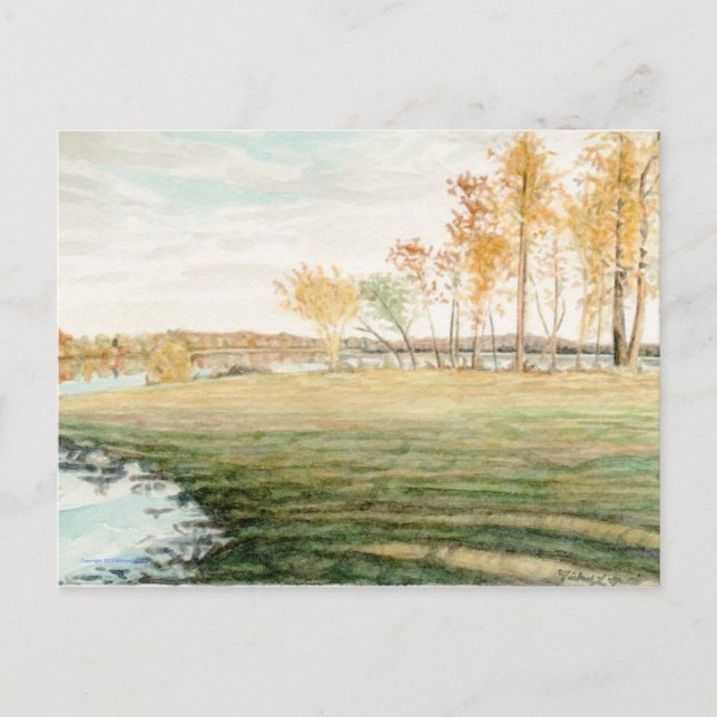 Mattaponi River Postcard (Front)
