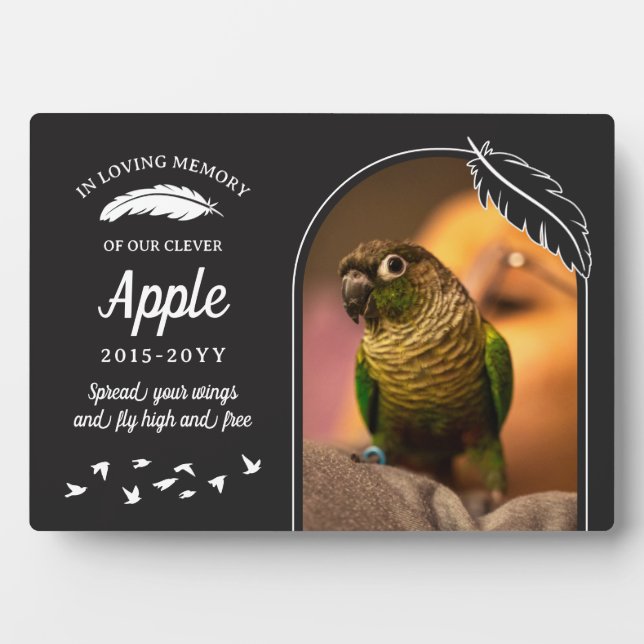 Matte Black Feathers In Loving Memory Pet Bird Plaque (Front)