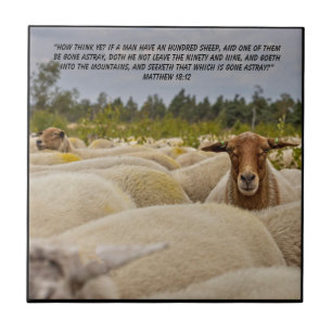 Matthew 18:12 ceramic tile