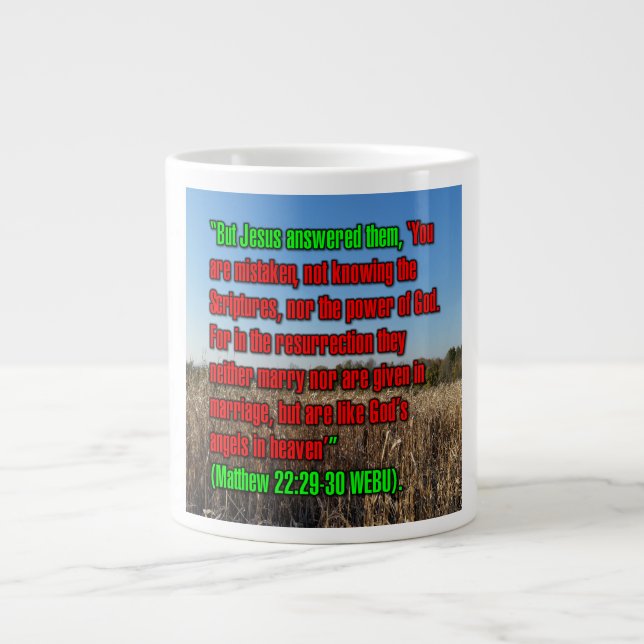 Matthew 22:29-30 WEBU Mug (Front)