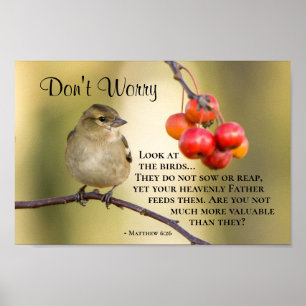 Matthew 6:26 Bible Verse, Don't Worry Poster