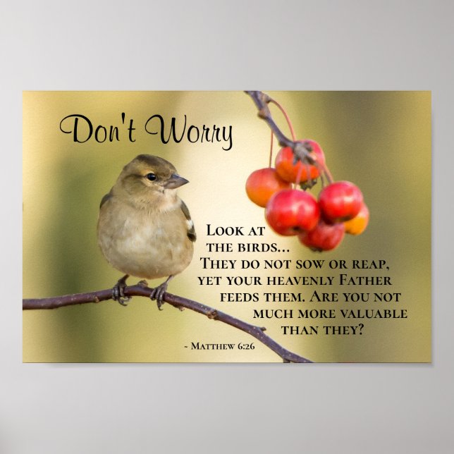 Matthew 6:26 Bible Verse, Don't Worry Poster (Front)