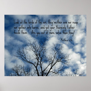 Matthew 6:26 Look at the birds of the air... Poster