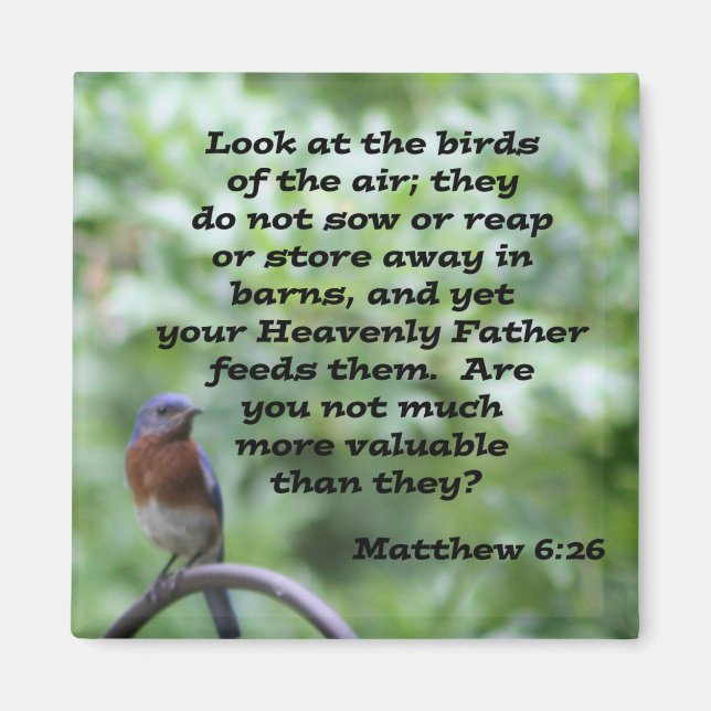 Matthew 6:26 magnet (Front)