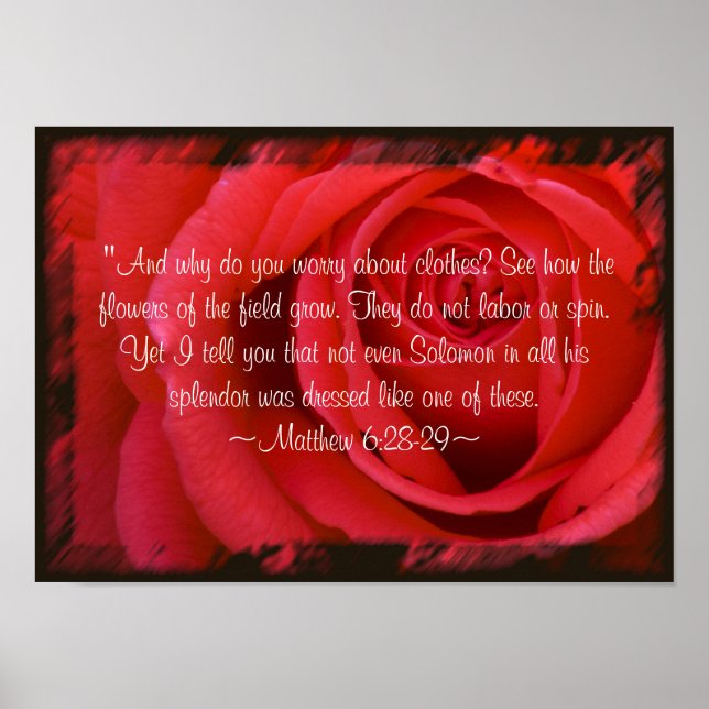 Matthew 6:28-29 Poster (Front)