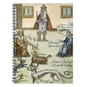 Matthew Hopkins (D 1647) Notebook