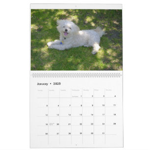 Mattie and Friends Calendar