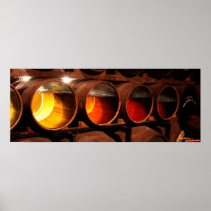 Maturation Poster
