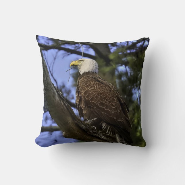 Mature Bald Eagle (2 Pics) Cushion (Front)