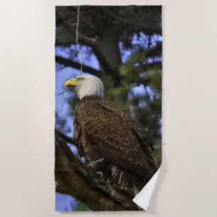 Mature Bald Eagle Beach Towel