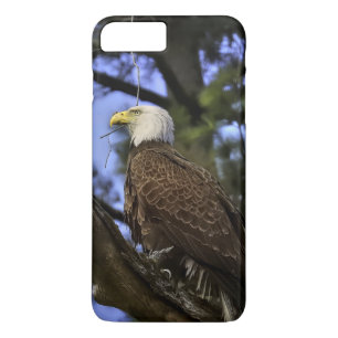 Mature Bald Eagle iPhone 8 Plus/7 Plus Case