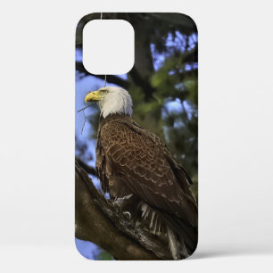 Mature Bald Eagle Case-Mate iPhone Case