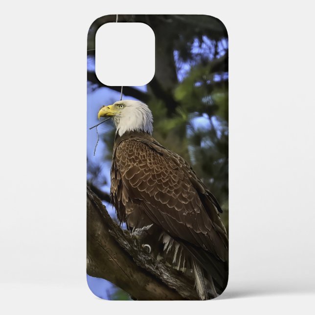 Mature Bald Eagle  Case-Mate iPhone Case (Back)